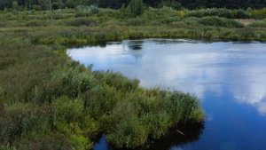 КАЗАНЬ   посёлок "МИРНЫЙ" -  озеро  «ШАНХАЙ»  НА ГРАНИ ВЫМИРАНИЯ!