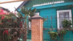 Пальмы в Азове Ростовской области