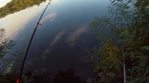 Рыбалка на донки утром на Северском Донце