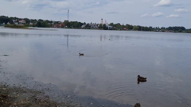 озеро Валдай август 2021