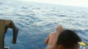 Как рыбачат в Красном море аборигены