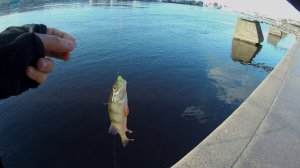 #2 Street fishing 14.04.2019