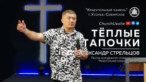 "Тёплые тапочки" Александр Стрельцов|23.06.2024