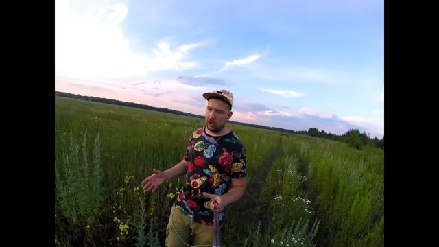 Прогулка по полю и рассказ о льнянке. Льнянка обыкновенная смотреть онлайн