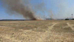 Горит солома на ржаном поле.