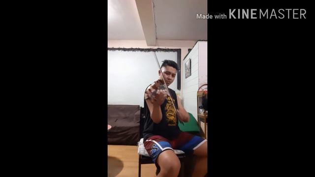 Coffin Dance Short Violin Cover