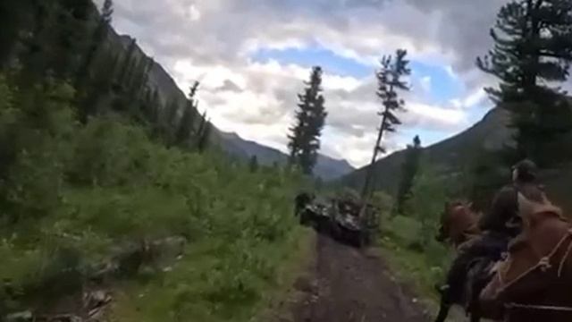 Бурятия. Бойцы спецназа вступили в бой с браконьерами. 27 человек задержаны.