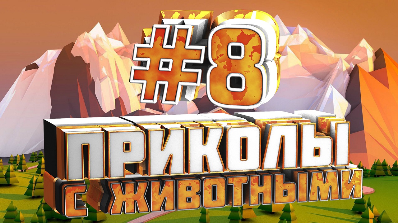 Подписок 8