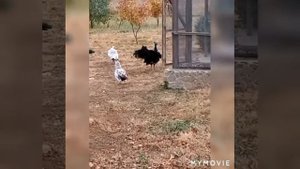 Астраханская область, база отдыха Ступинская, рыбалочка