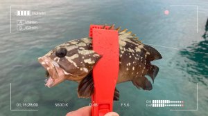 Дело было в Махмутларе. Русский микроджиг в Турции