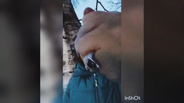 Ритуал на снег смотреть онлайн