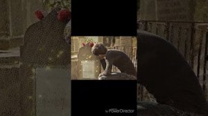 Письмо для мамы томаса