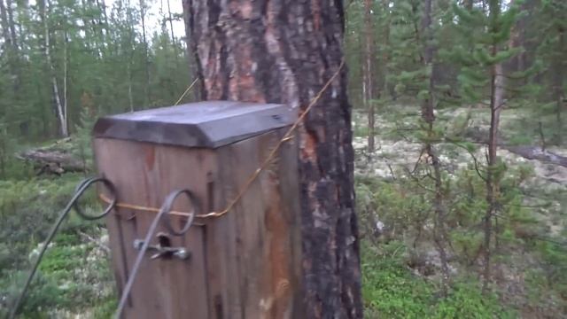 Домой через второе зимовье. Медведь.