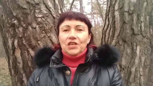 Божья защита, охрана. Псалом 120