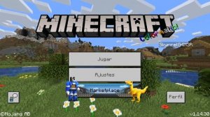 Minecraft pe (1.14.30) y (1.16.0.53)Beta Con Skins 4D (Mas de 20 skins) | Skyrrel