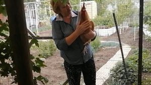 Принимаем ЭСТАФЕТУ! Куры в мегаполисе.