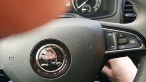 Шкода Карок Белый мишка. Автоматическое включение стояночного тормоза