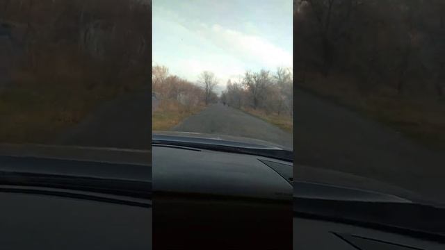 TOYOTA топ смотреть онлайн