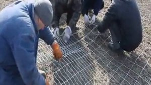 Соединение рулонов шарнирной сетки без подручных средств