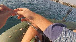 Рыбалка с лодки в Хургаде ИЛИ КАК ЖАДНАЯ РЫБА ОБЖИРАЕТ КРЕВЕТОК