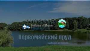 Рыбалка на Первомайском пруду тульской области