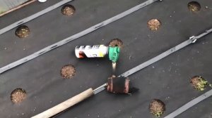 Шикарно и быстро отверстия в агроволокне под рассаду