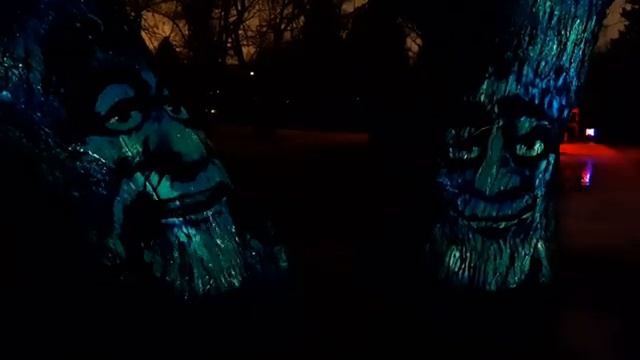 Выставка "Сад света" в Ботаническом саду Петра Великого смотреть онлайн