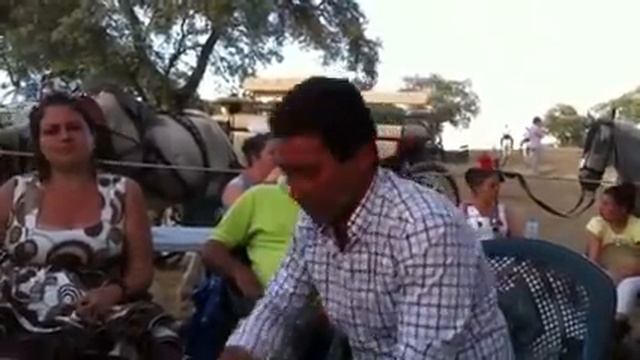 Fandango de Alosno смотреть онлайн