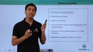 Class 11th – Fungi Classification – Deuteromycetes | Biological Classification | Tutorials Point