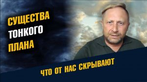 Существа тонкого плана и сущность жизни