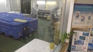 Как добывают соль из морской воды. Остров Ишигаки, Окинава, Япония.