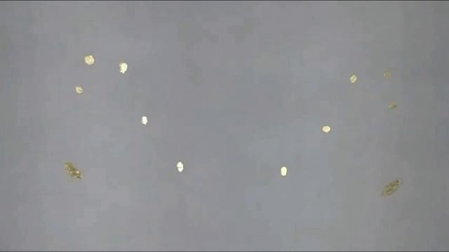 Silk wings. Madame Butterfly. Seidenmalerei. смотреть онлайн