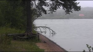 Холодный август 2019года. Озеро Пено