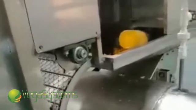Отделение семян тыквы