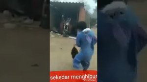 manusia vs hewan