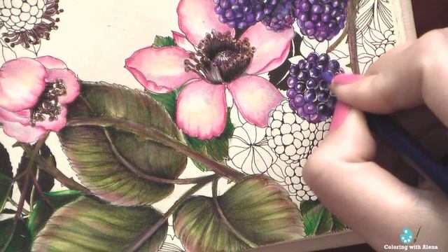 Раскрашиваю ягоды для сентябрьской страницы / Раскраска-антистресс "Flower year" смотреть онлайн