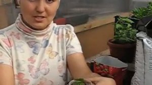 Получили весной посылку "спящей" рассады земляники весной. Что делать? Способ 2.
