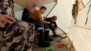 Имандра. губа Кислая. Корюшка, Налим.