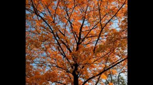 Kevin Kern - Through the Veil - Nature Photography 9