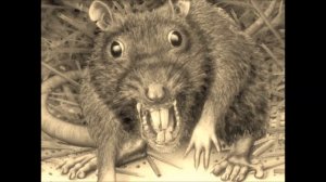 ДЕВОЧКА КРЫСА продолжение