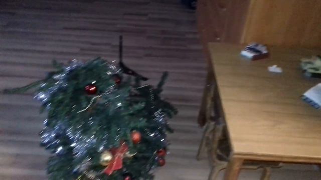 Лабрадор и ёлка.