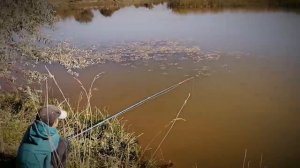 Рыбалка на поплавок с берега, и обзор посылке из алиэкспресс.