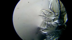 Кристаллизация лимонной кислоты под микроскопом. Crystallization of citric acid under a microscope.