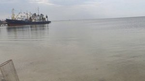 Бердянск 26.06.2022. Лиски. Ловля Пеленгаса. Бердянские Рыбаки. Азовское море