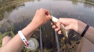 ХИТРОСТЬ при ловле карася. Отличный клев карася и плотвы весной 2018.