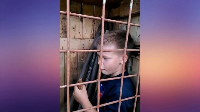 Страшно часть 3  -  24 часа на даче.mp4 смотреть онлайн