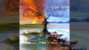 Цыганские Песни - Любимая прости меня !