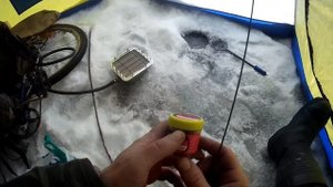 Рыбалка на Селенге...