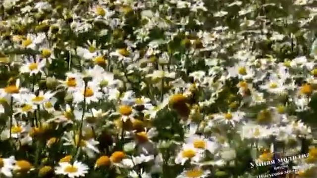 Во имя Сына.mp4 смотреть онлайн