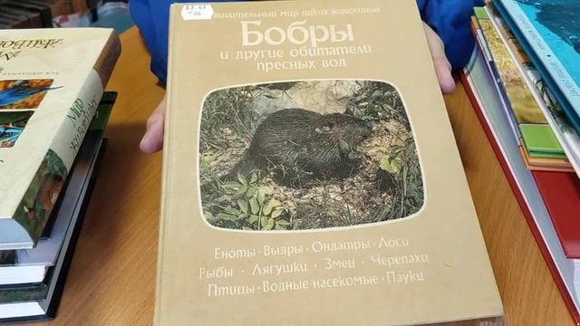 Всемирный день охраны мест обитаний смотреть онлайн